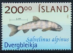Island AFA 1001 Postfrisk