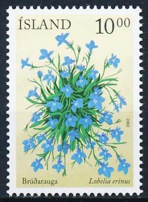 Island AFA 1002 Postfrisk