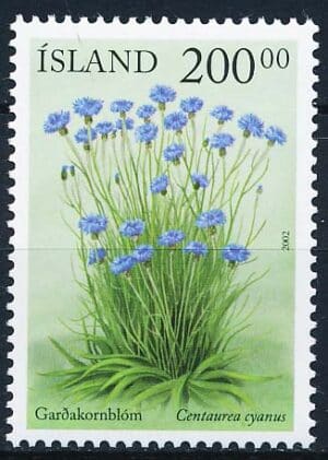 Island AFA 1003 Postfrisk