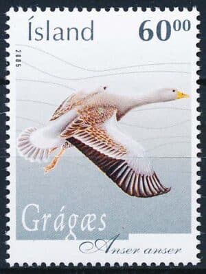 Island AFA 1096 Postfrisk