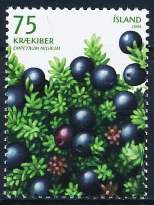 Island AFA 1121 Postfrisk