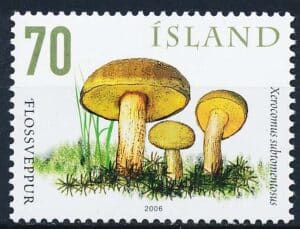 Island AFA 1128 Postfrisk