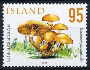 Island AFA 1129 Postfrisk