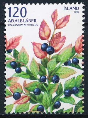 Island AFA 1156 Postfrisk