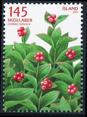 Island AFA 1157 Postfrisk