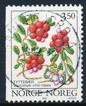 Norge AFA 1170ACv Stemplet