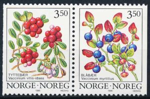 Norge AFA 1170CV+1171CH Postfrisk