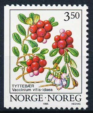 Norge AFA 1170ACv Postfrisk