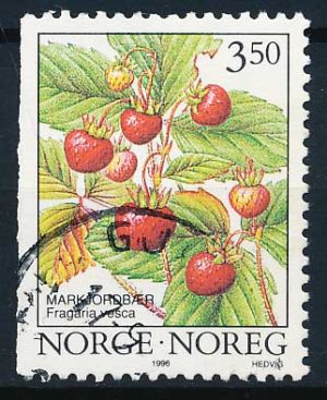Norge AFA 1202Cv Stemplet