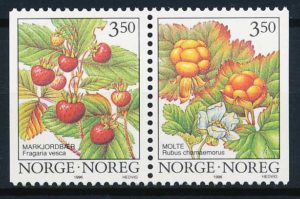 Norge AFA 1202Cv+1203Ch Postfrisk