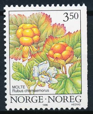 Norge AFA 1203Ch Postfrisk