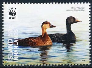 Island AFA 1276 Postfrisk