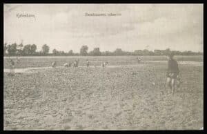 Danmark Postkort København