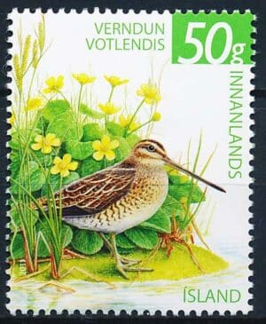 Island AFA 1305 Postfrisk