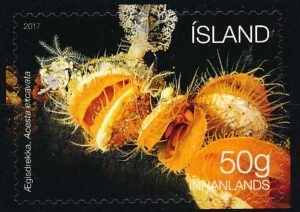 Island AFA 1510 Postfrisk