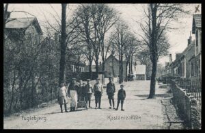 Danmark Postkort 4250 Fuglebjerg