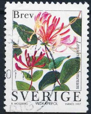 Sverige AFA 1925Cn Stemplet
