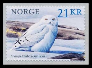 Norge AFA 1942 Postfrisk