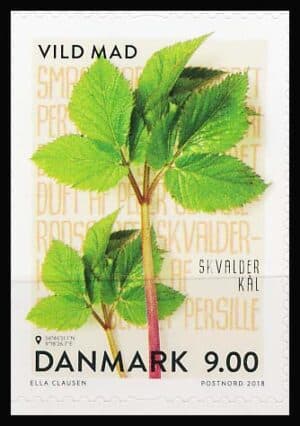 Danmark AFA 1944 Postfrisk