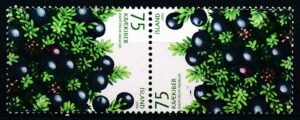 Island AFA 1121 Tête-Bêche Postfrisk