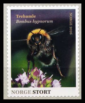 Norge AFA 2143 Postfrisk