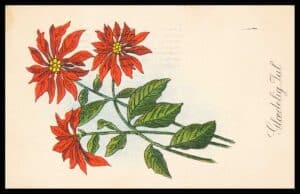 Danmark Postkort Julekort