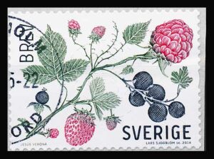 Sverige AFA 2970 Stemplet