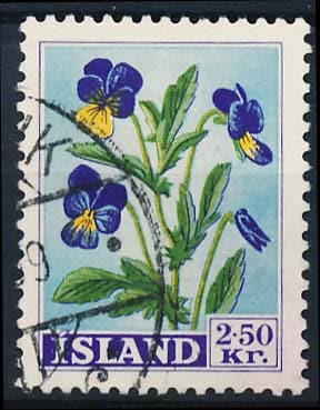 Island AFA 325 Stemplet