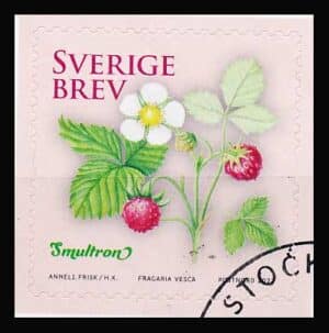 Sverige AFA 3401 Stemplet