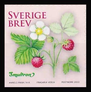 Sverige AFA 3401 Postfrisk