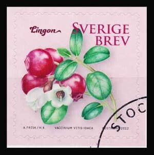 Sverige AFA 3402 Stemplet