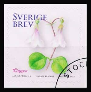 Sverige AFA 3403 Stemplet