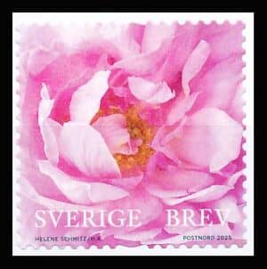 Sverige AFA 3597 Postfrisk