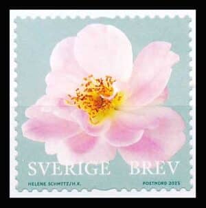 Sverige AFA 3595 Postfrisk
