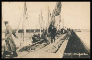 Danmark Postkort 3100 Hornbæk