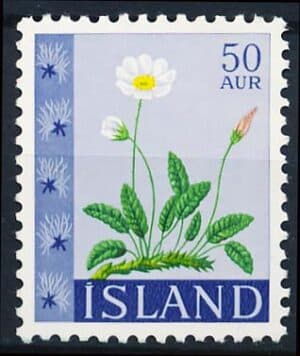 Island AFA 382 Postfrisk