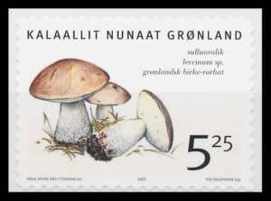 Grønland AFA 441E Postfrisk