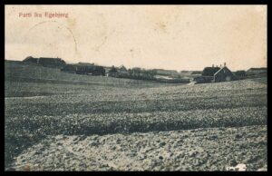 Danmark Postkort 8700 Horsens