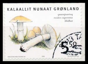 Grønland AFA 470E Stemplet