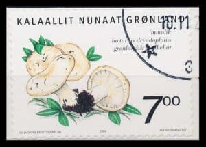 Grønland AFA 471E Stemplet