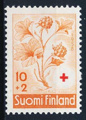 Finland AFA 507 Postfrisk