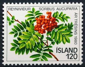 Island AFA 555 Postfrisk