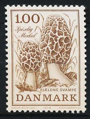 Danmark AFA 0669 Postfrisk