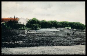 Danmark Postkort 7870 Roslev