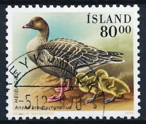 Island AFA 0712 Stemplet