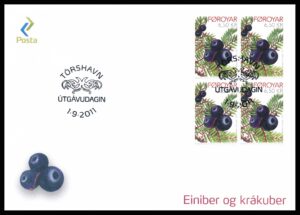 Færøerne FDC AFA 726 4 Blok