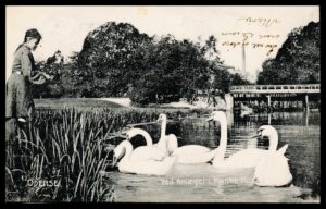 Danmark Postkort 5000 Odense