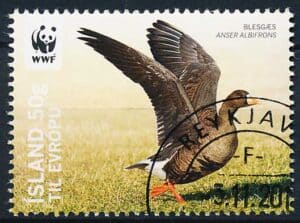 Island AFA 1279 Stemplet