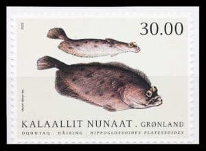 Grønland AFA 817E Postfrisk