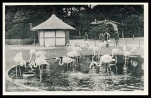 Danmark Postkort København